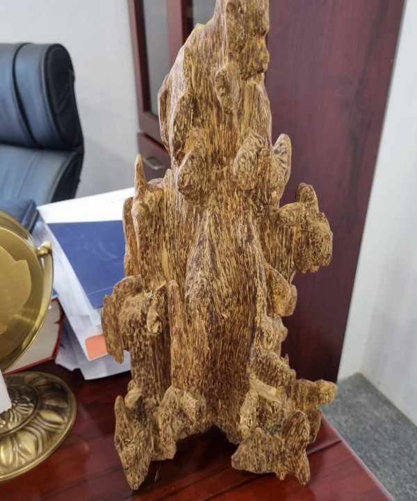 Cục trầm kiến ghép cảnh cao 50 cm