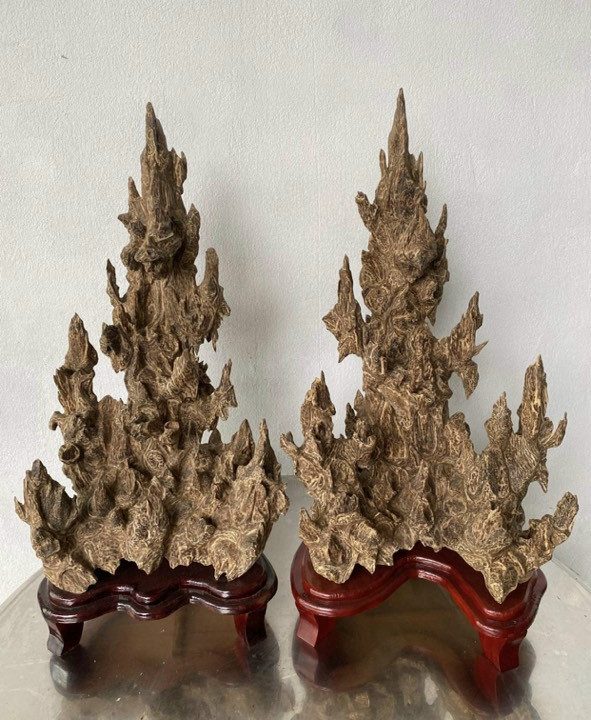 Trầm cảnh ghép