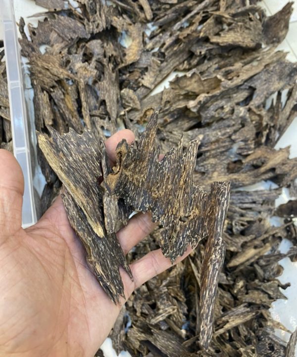Trầm kiến thiên nhiên
